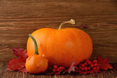 Dekoratif kabaklar ve sonbahar yaprakları