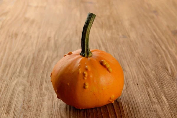 Decorative pumpkins — Stock Photo, Image