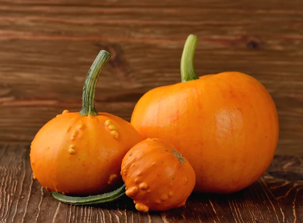 Decorative pumpkins — Stock Photo, Image