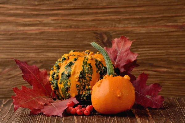 Calabazas decorativas y hojas de otoño — Foto de Stock