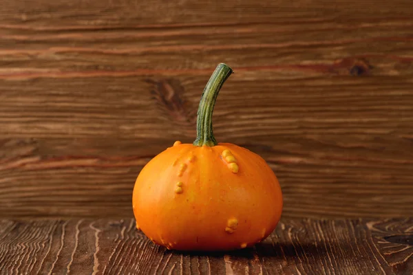 Decorative pumpkins — Stock Photo, Image