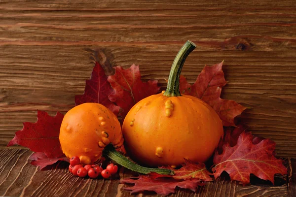 Calabazas decorativas y hojas de otoño — Foto de Stock