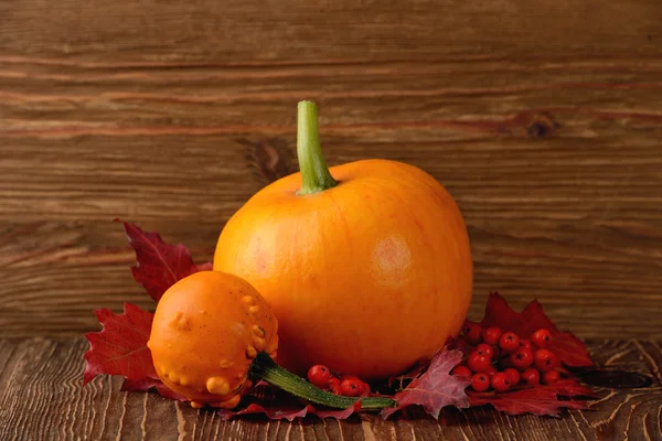 Citrouilles décoratives et feuilles d'automne — Photo