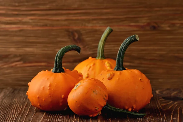 Calabazas decorativas — Foto de Stock