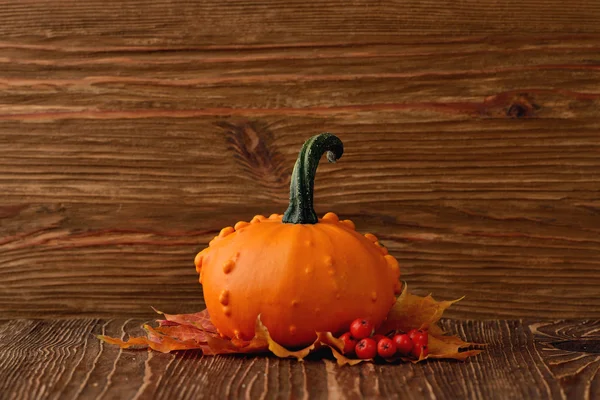 Calabazas decorativas y hojas de otoño — Foto de Stock