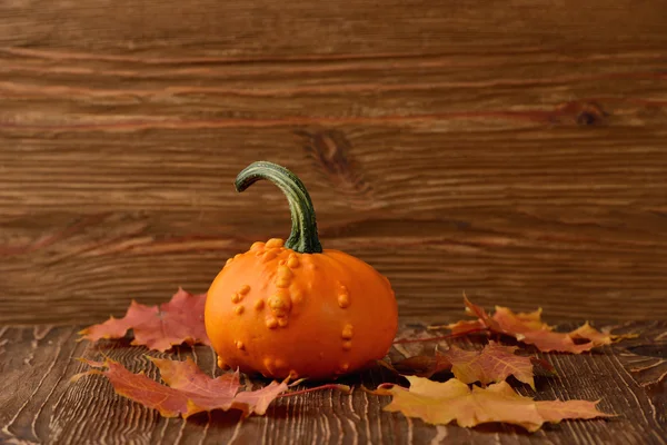 Decorative pumpkins and autumn leaves Stock Photo