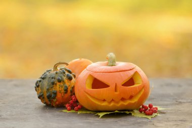 Cadılar Bayramı Balkabağı ahşap plakalar üzerinde