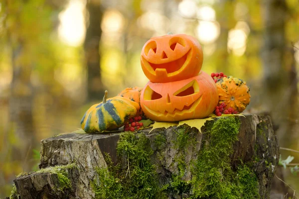 Halloween abóbora assustadora na floresta de outono — Fotografia de Stock