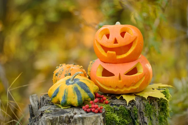 Strašidelné Halloween dýně v podzimním lese — Stock fotografie