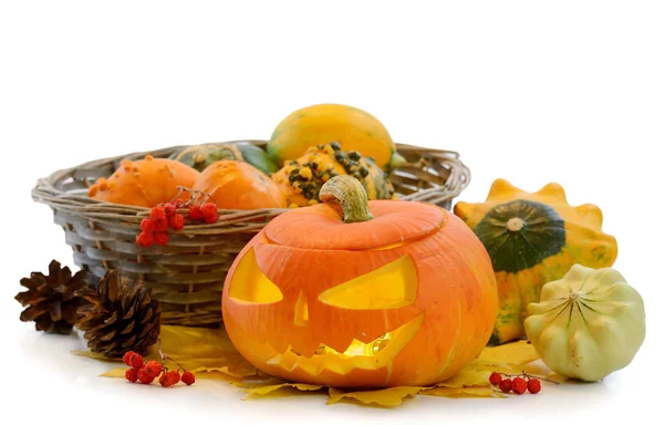 Halloween pumpkin Jack O'Lantern — Stock fotografie