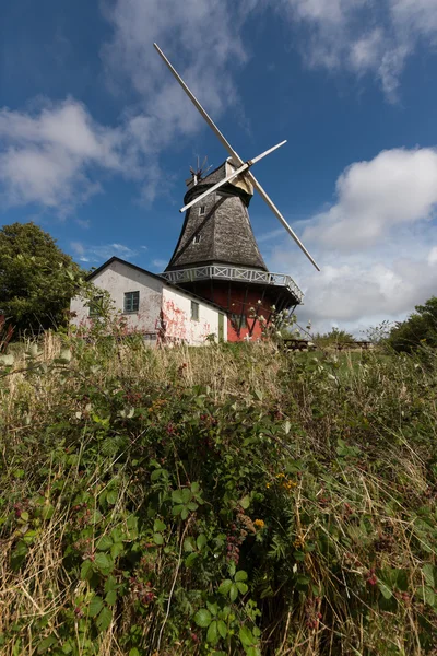 Mill and berrys — Stock Photo, Image