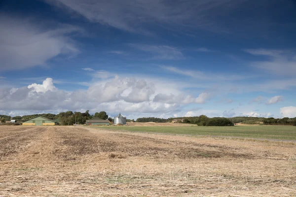 Tryggelev boerderij — Stockfoto