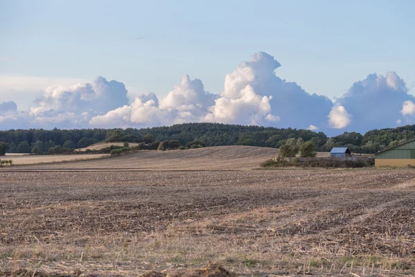 Cloud field — Stock Photo, Image