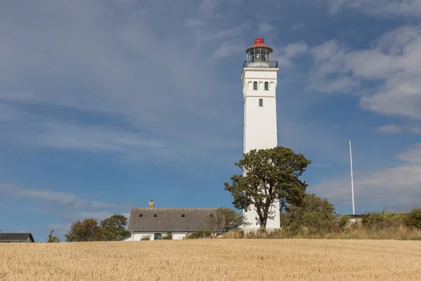 Torre e albero — Foto Stock