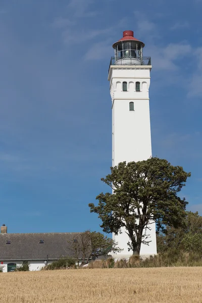 Lighthouse and tree — Stock Photo, Image