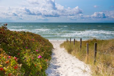 Access Ristinge beach