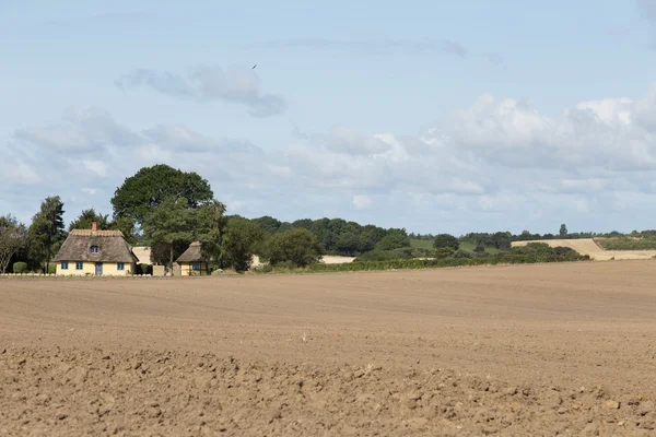 House near the field — Stock Photo, Image