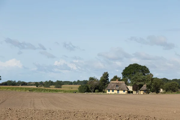 Field with house — Stock Photo, Image