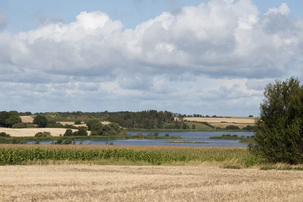 Lake in fields — Stock Photo, Image