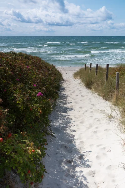Areia e duna Imagem De Stock