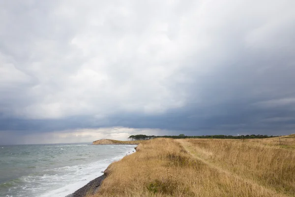 Gras kust — Stockfoto