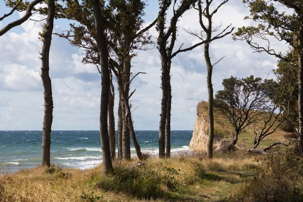 Kliffen en bomen — Stockfoto