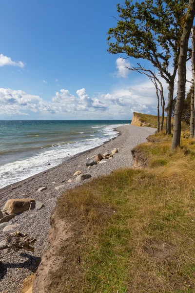 Baltic Sea Cliff — Stock Photo, Image