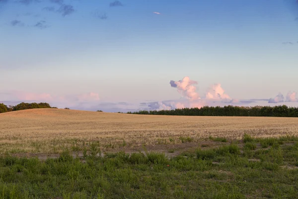 Wolke über dem Feld — Stockfoto