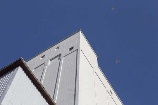 Silo e gaivotas — Fotografia de Stock