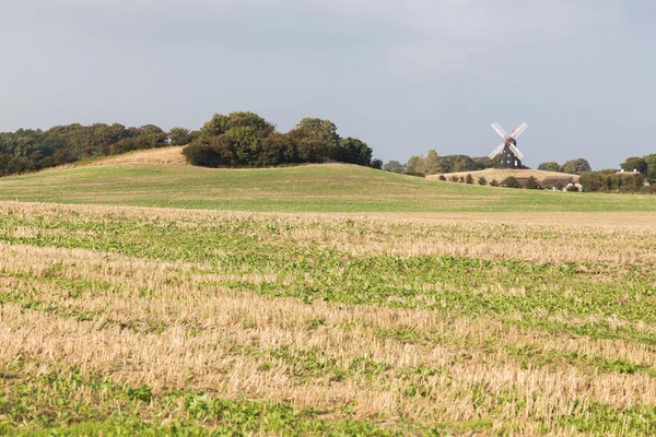 Molen op het veld — Stockfoto