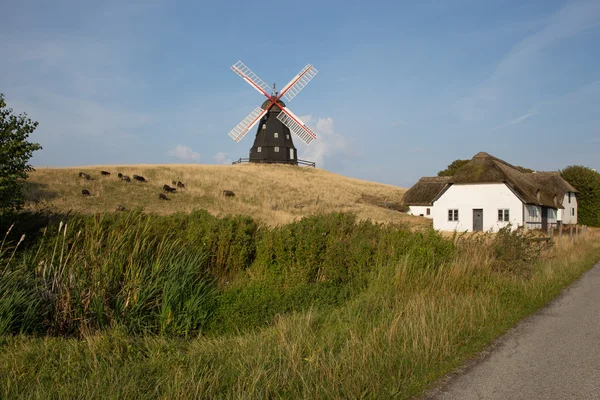 Cerro molino — Foto de Stock