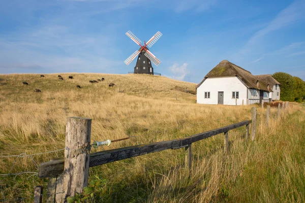 Molino de viento en el pasto — Foto de Stock