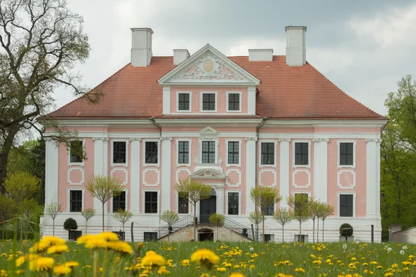 Burg und Löwenzahn — Stockfoto