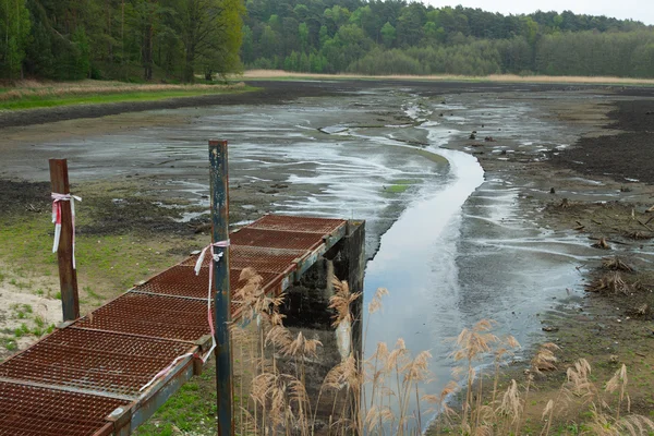 Empty pond — Stock Photo, Image