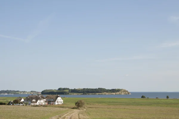 Nächster Blick auf zicker — Stockfoto