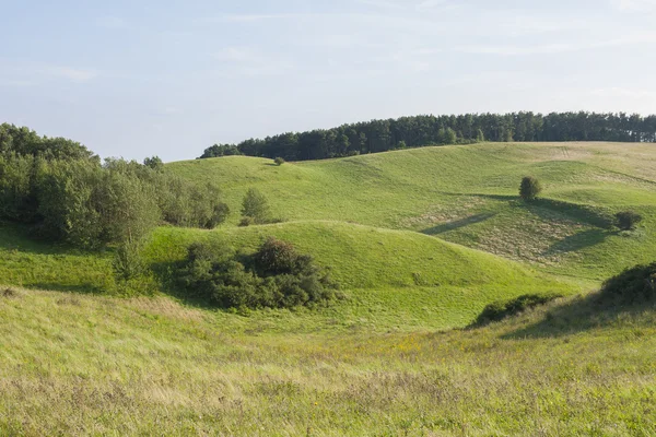 Fala pastwiska — Zdjęcie stockowe