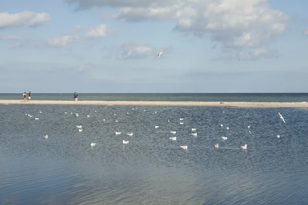 Sandbank — Stockfoto