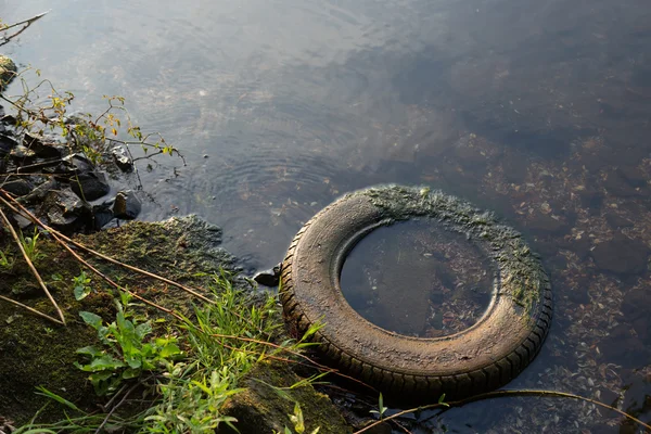 Pneu dans l'eau — Photo