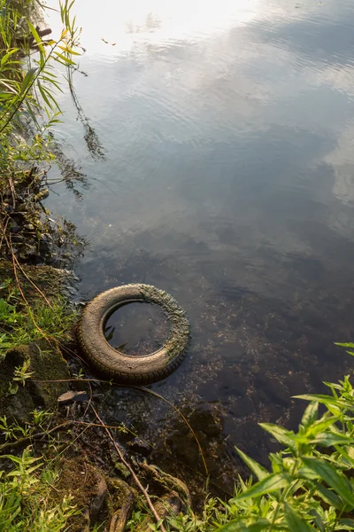 Reifen im ver — Foto de Stock