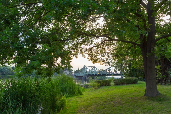 Park mit Brücke — Stockfoto