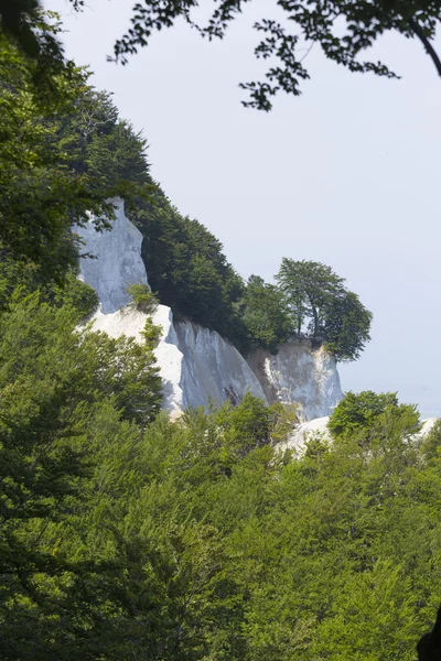 Bäume und Kalksteinfelsen — Stockfoto