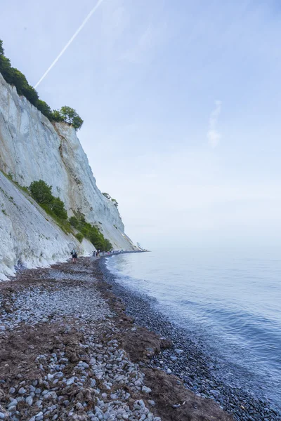 Pebble beach and seaweed — Stock Photo, Image