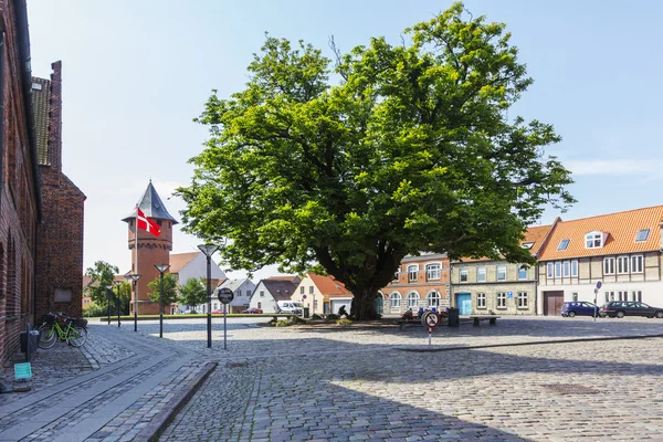 Árbol en la plaza de la iglesia —  Fotos de Stock