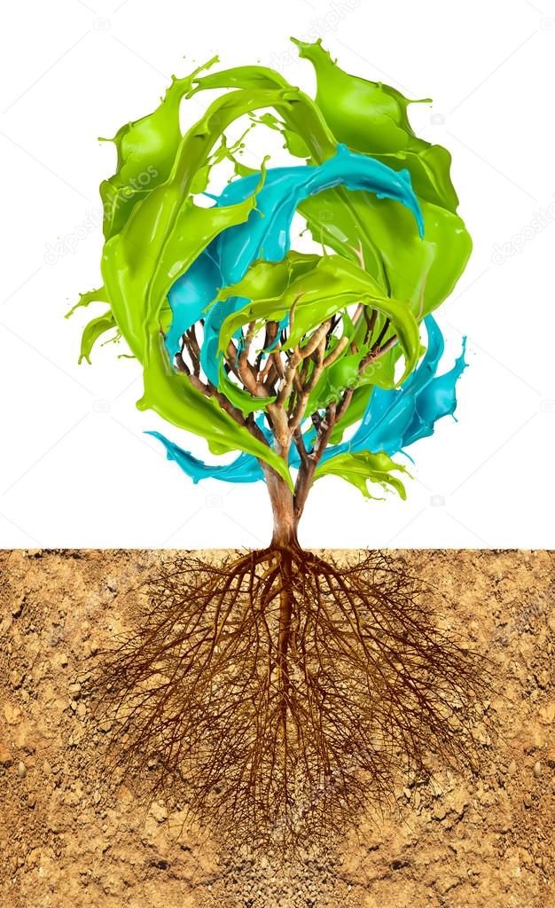 anterovium