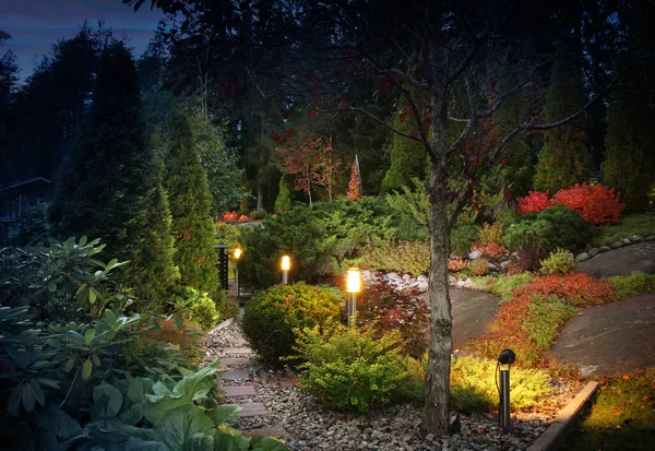 Illuminated home garden path patio lights and plants in autumn evening dusk