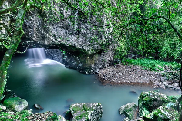 Forest river and waterfall with stones and trees — Stock Photo, Image