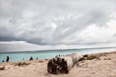 Bir ağaç parçası ile okyanus kum closeup 