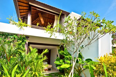 Modern ev yeşil renk süslü bitkilerle kaplıdır 