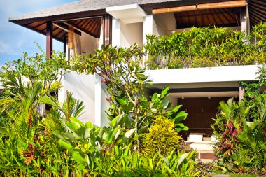 Süslü ağaçlar ve asmalar kaplı lüks ev