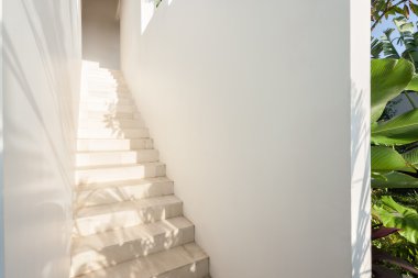 Güneş ışığı ile parlayan beyaz merdiven ve duvarları portre